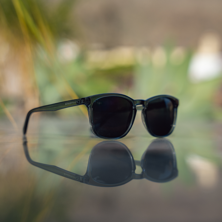 Cypress - Dusk Polarized