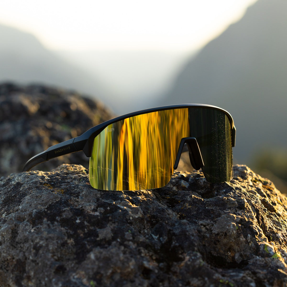 Rival Shift - Black Gold Polarized