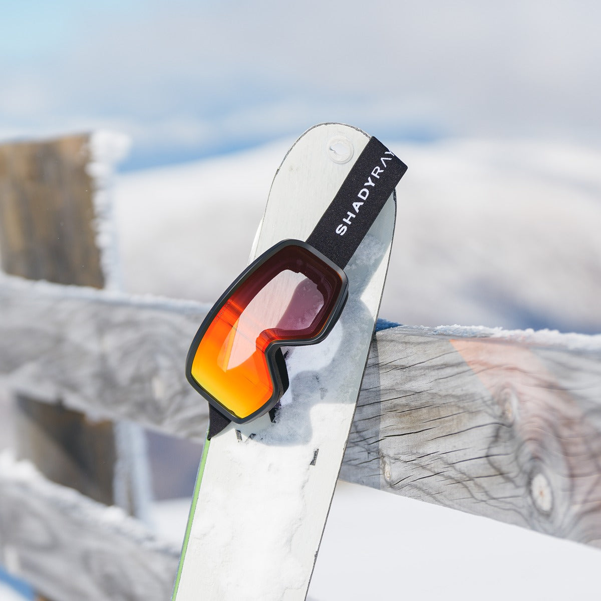 Pioneer Goggle - Black Infrared Rose