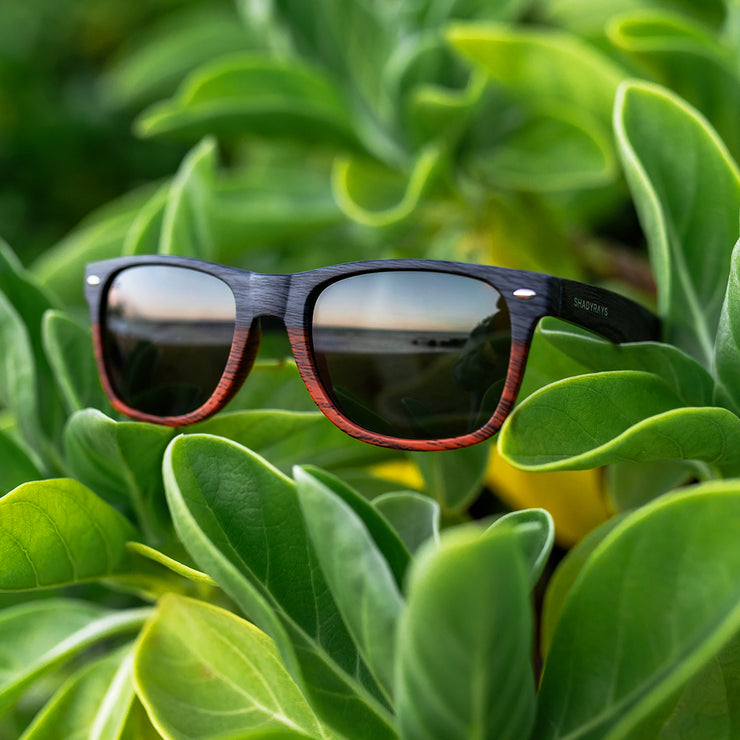 Classic Timber -  Dual Timber Polarized