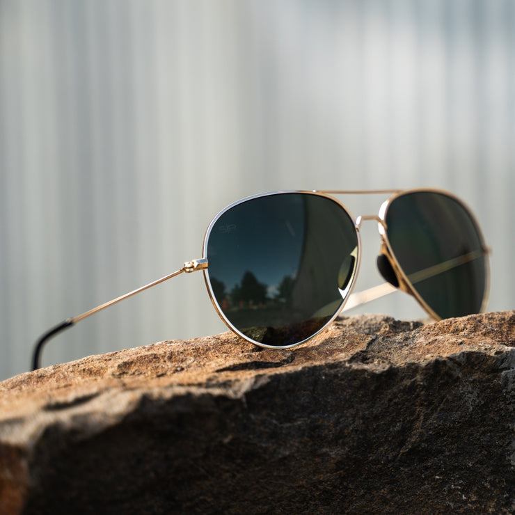 Tangle Free Aviator - Black Gold Polarized