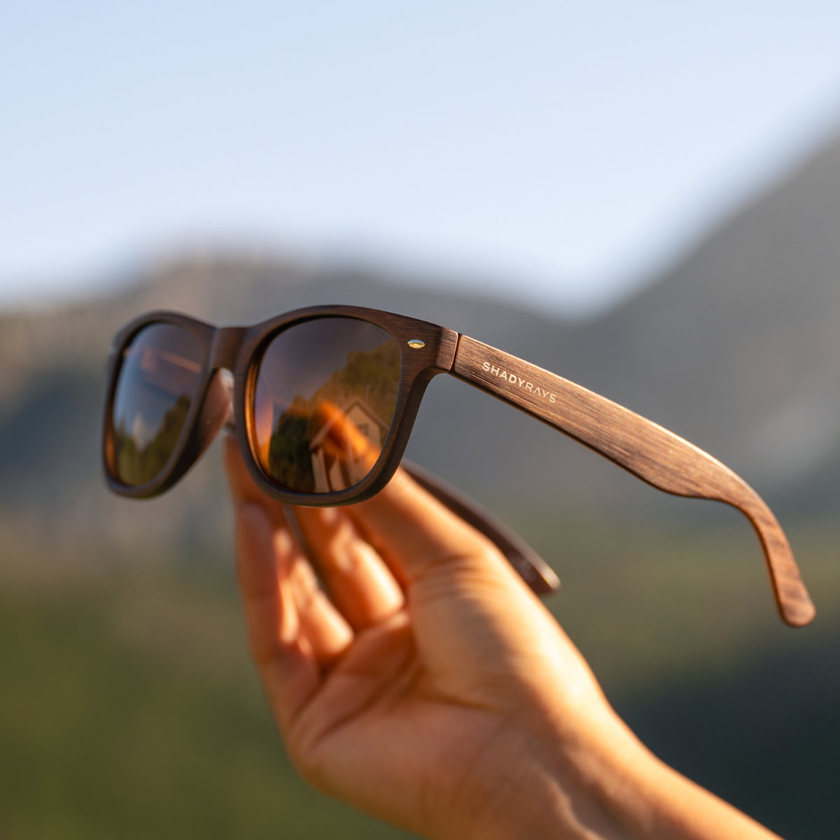 Classic Timber - Amber Woods Polarized