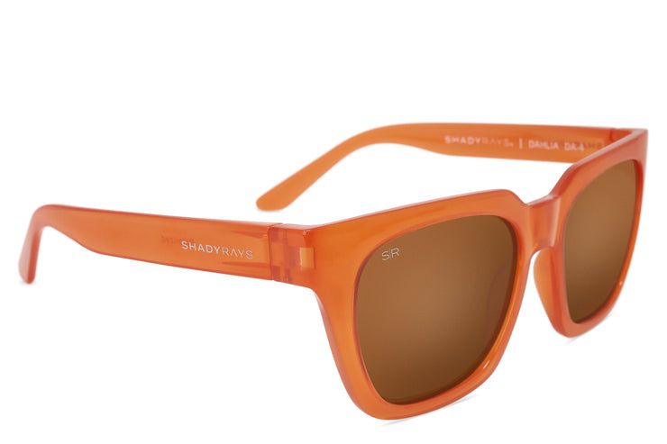 Dahlia - Rust Polarized