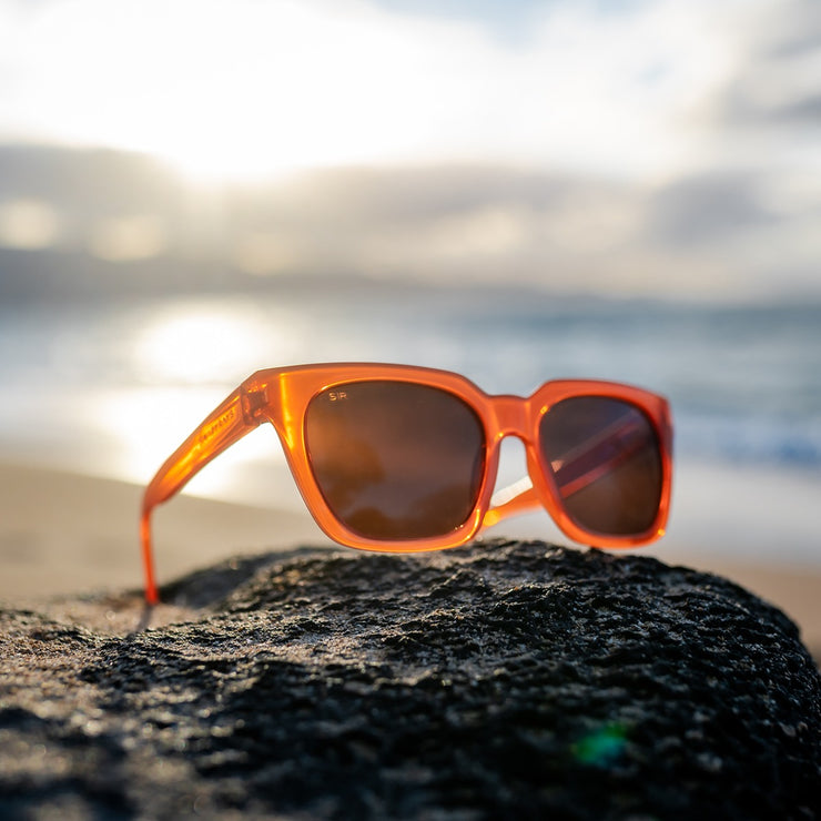 Dahlia - Rust Polarized