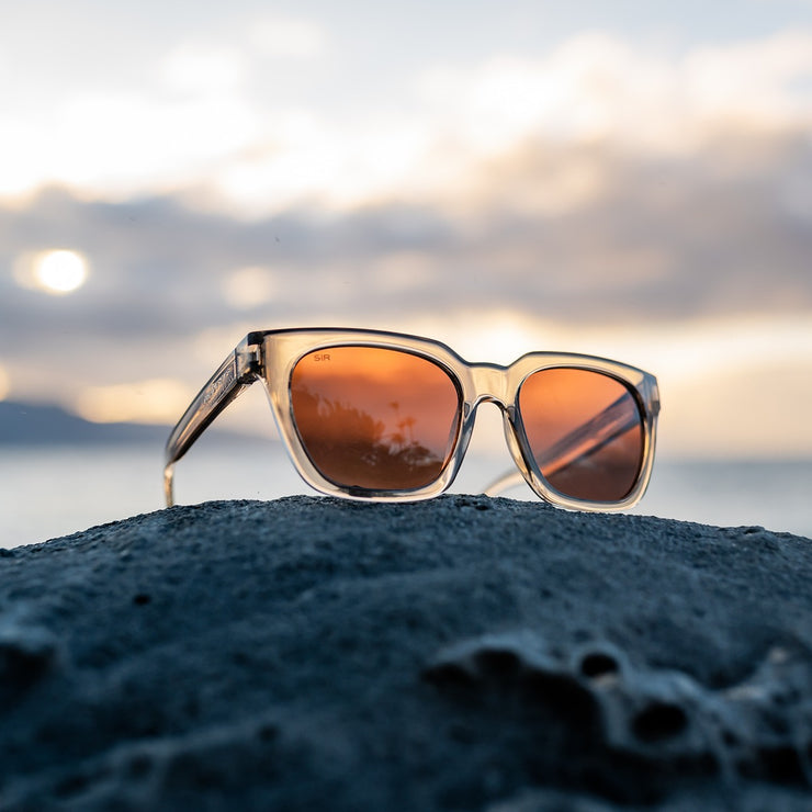 Dahlia - Aspen Polarized