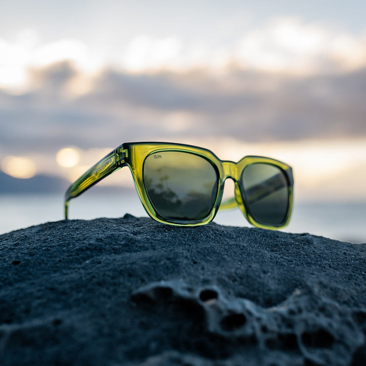 Dahlia - Sage Polarized