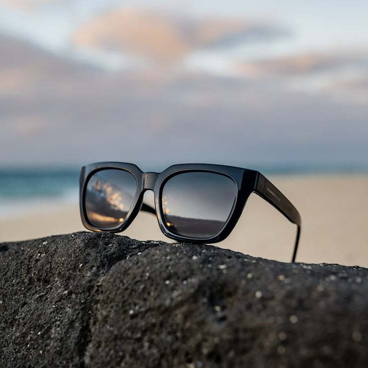 Dahlia - Midnight Polarized