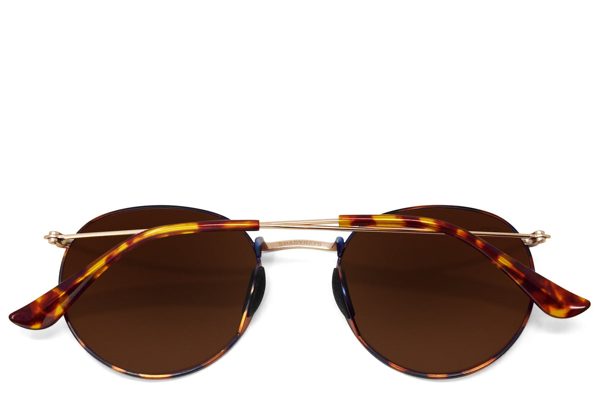 Tangle Free Aston - Amber Tortoise Polarized