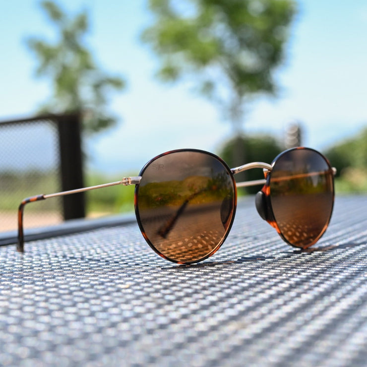 Tangle Free Aston - Amber Tortoise Polarized