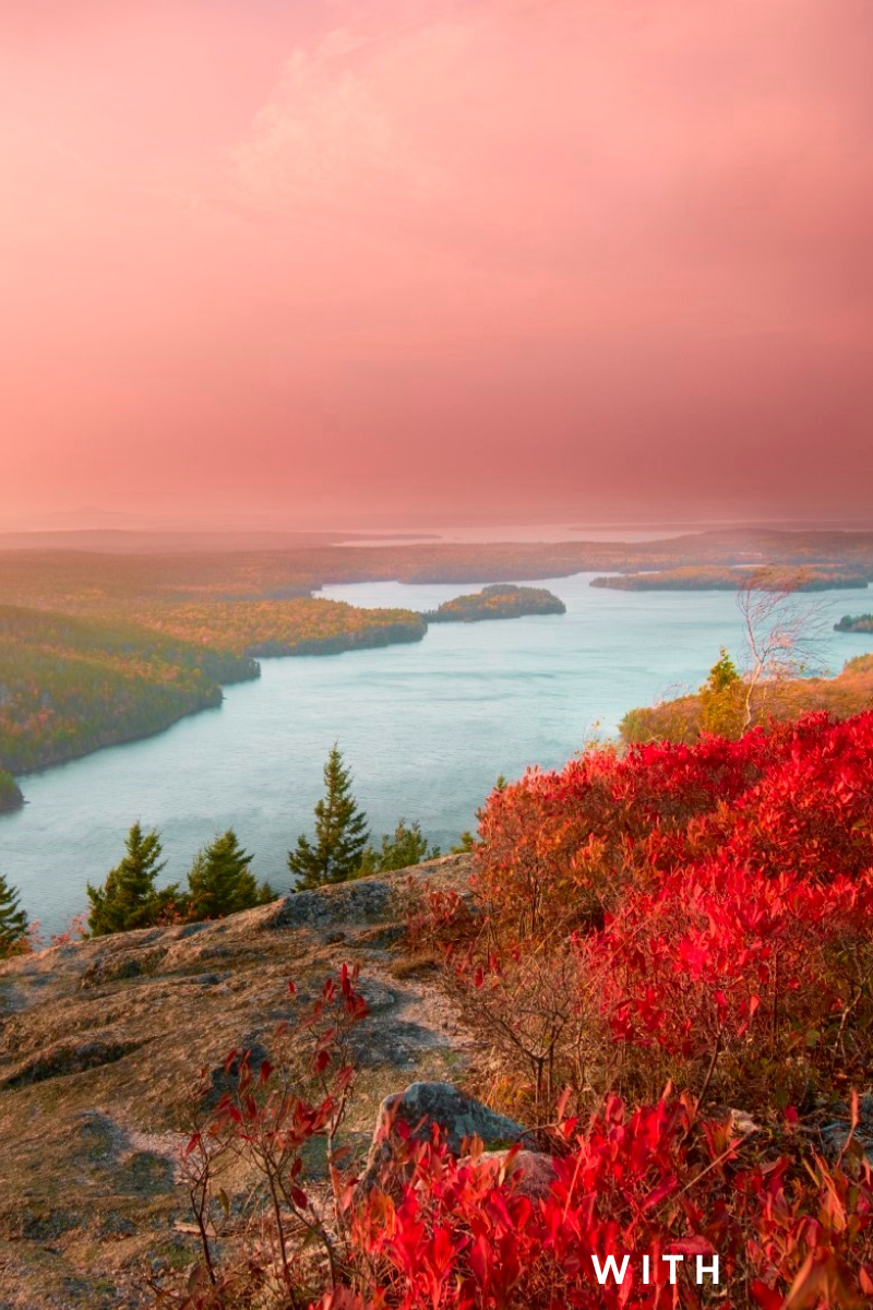 Shady Rays X Series - Blackout Polarized Sunglasses – Shady Rays ...