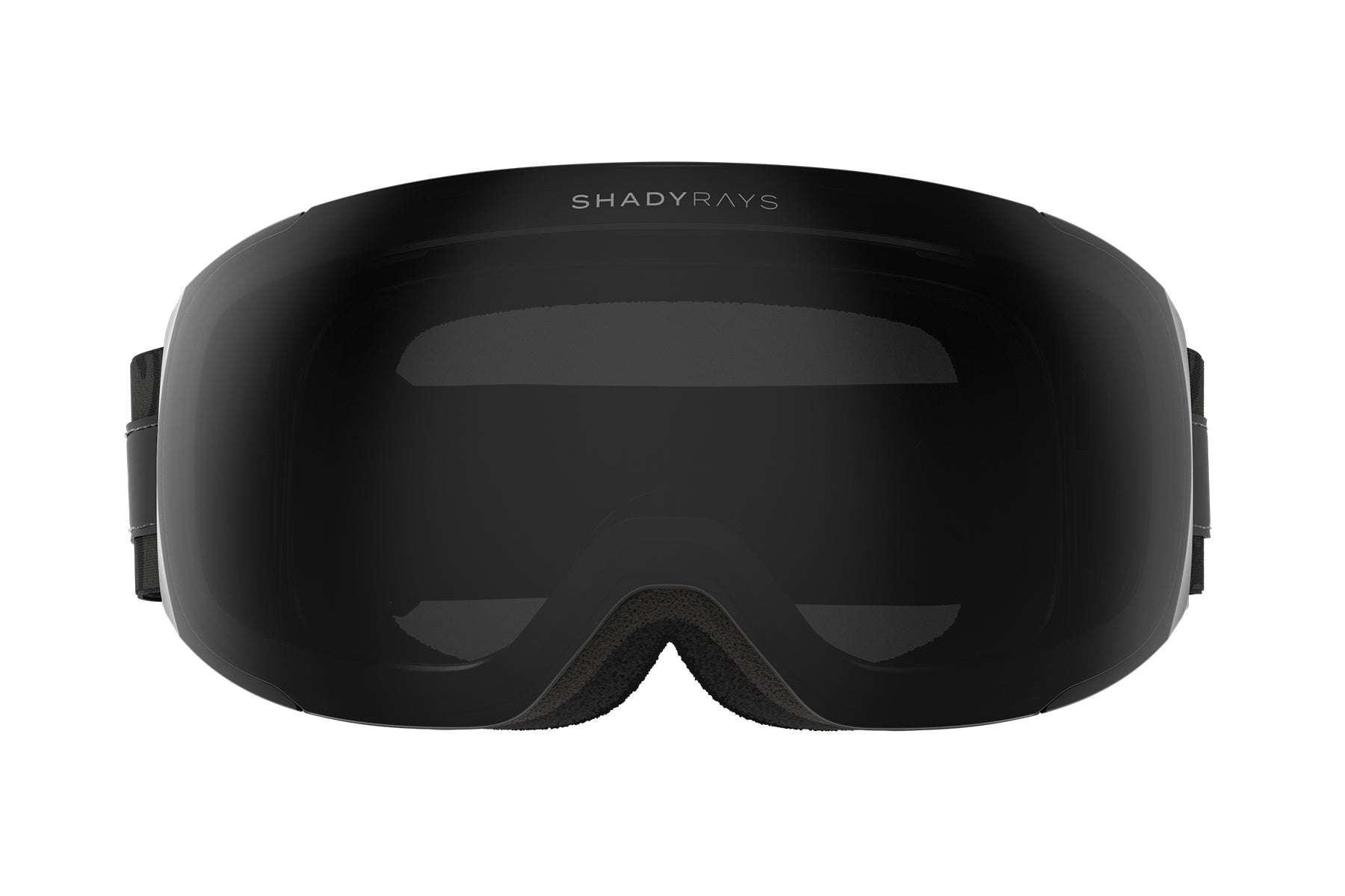 synthebrew goggles Denali Snow Goggle