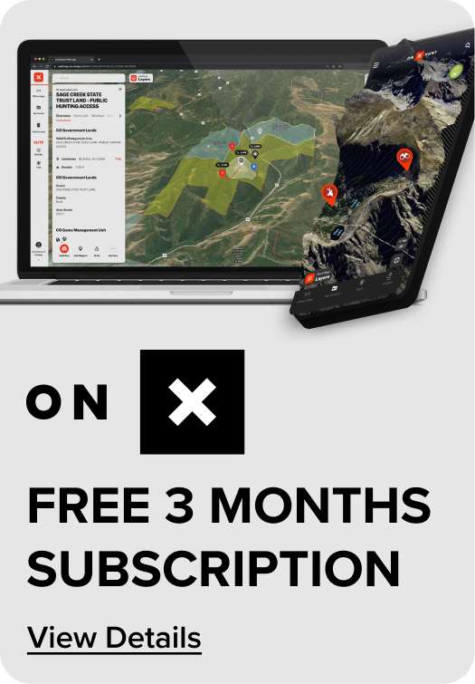 Offer 1
