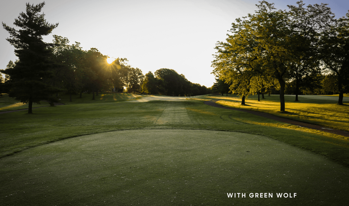Green Wolf Guardian - Black Green