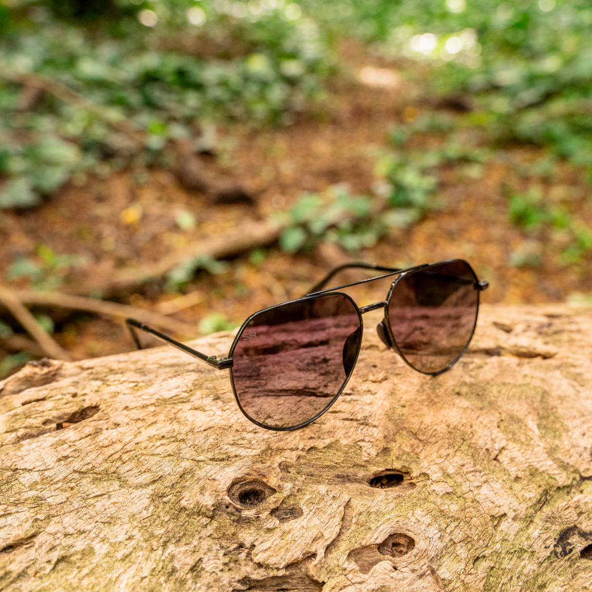 Tangle Free Aviator Hex - Black Fade Polarized