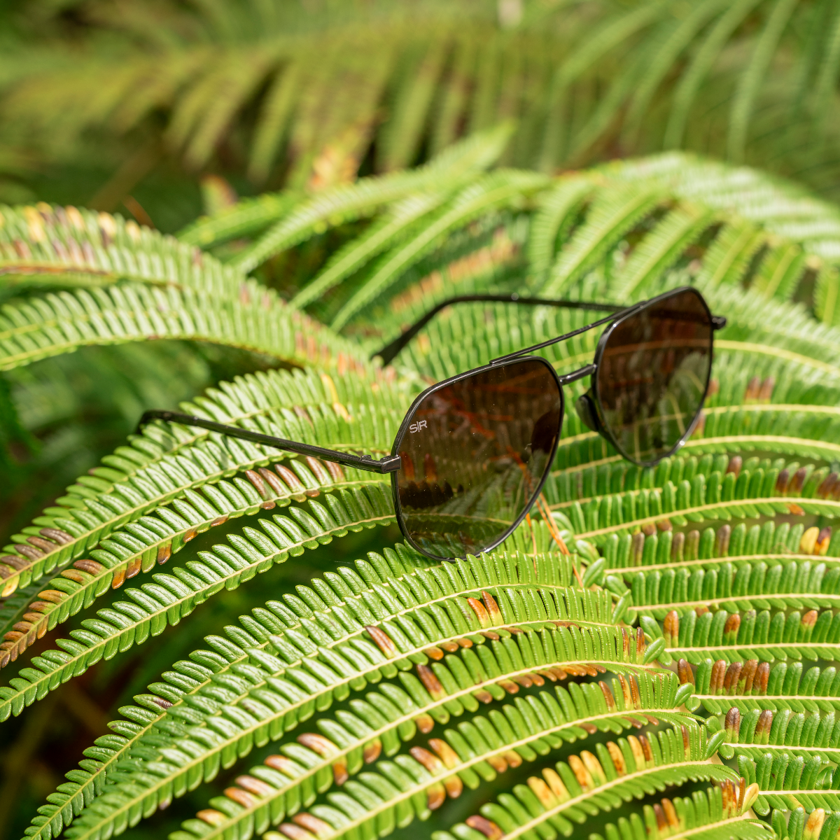 Tangle Free Aviator Hex - Black Fade Polarized
