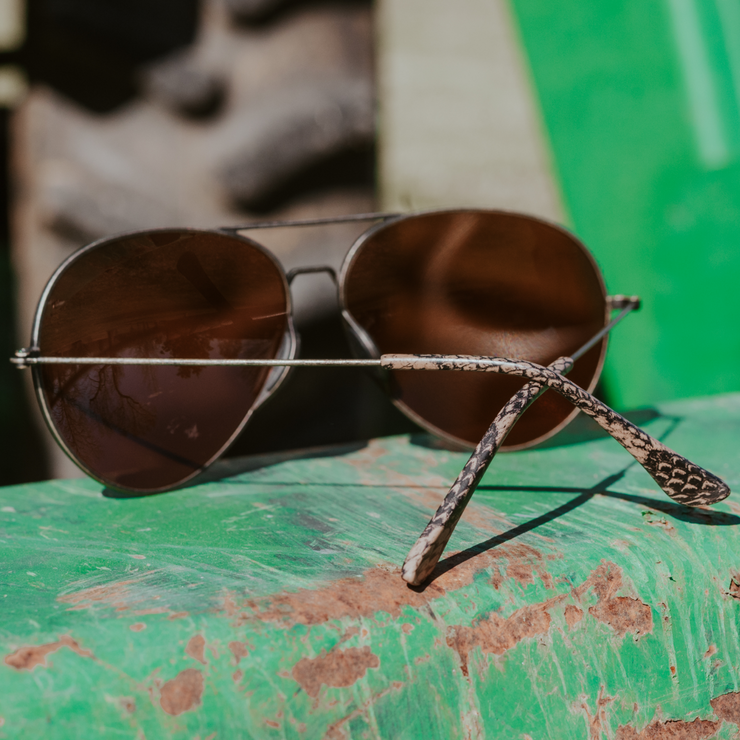 Tangle Free Aviator - Snakeskin Polarized