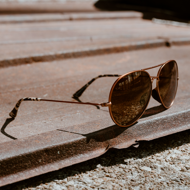Tangle Free Aviator - Prairie Tortoise Polarized