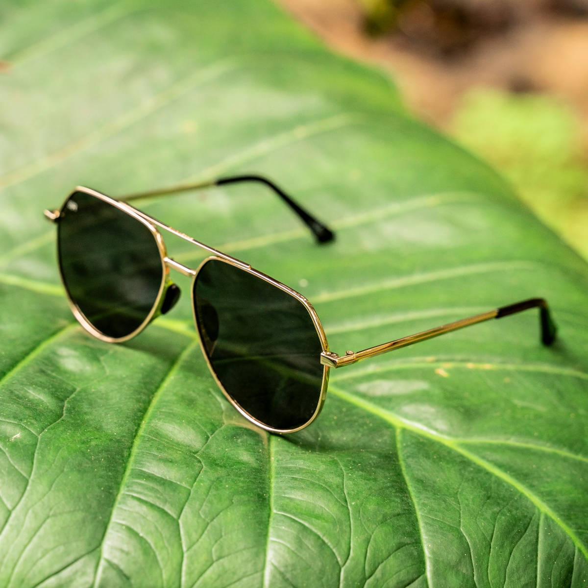 Tangle Free Aviator Hex - Black Gold Polarized