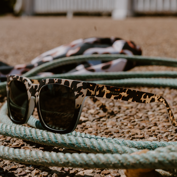 Dahlia - Prairie Tortoise Polarized