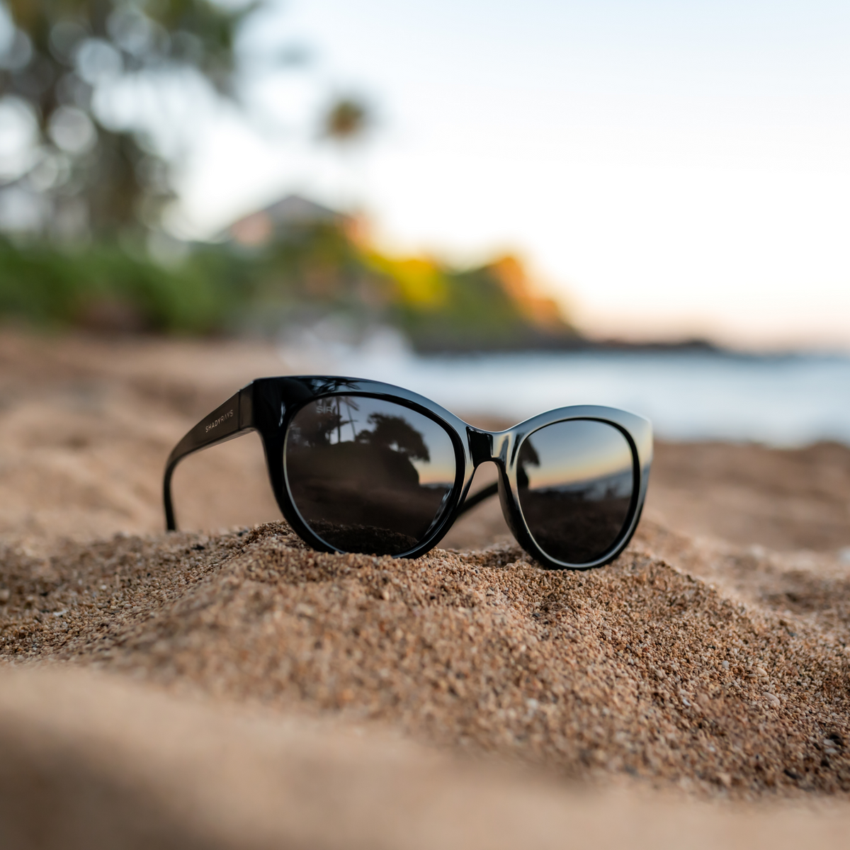 Lynx - Midnight Polarized