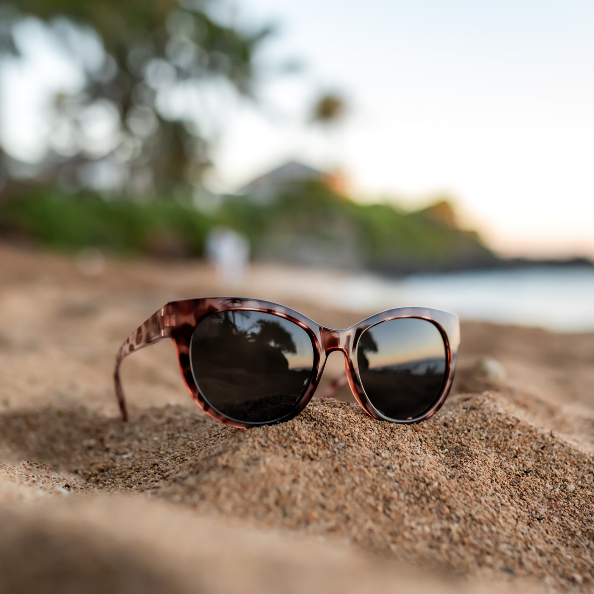 Lynx - Blush Tortoise Polarized