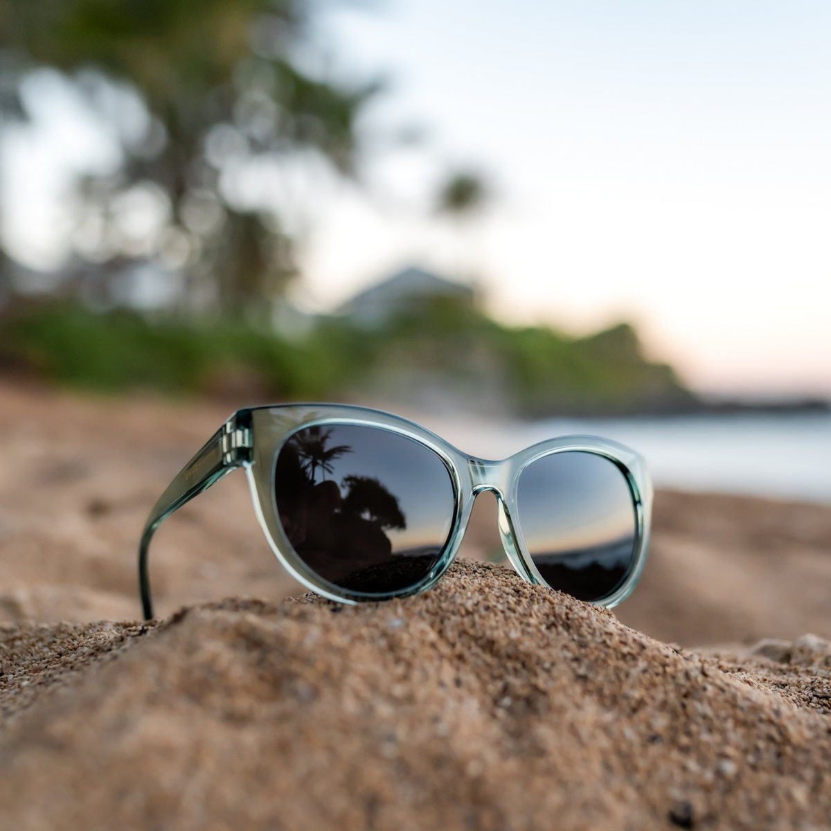 Lynx - Sage Polarized