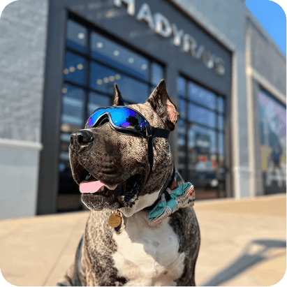 Impact Gallery image 4