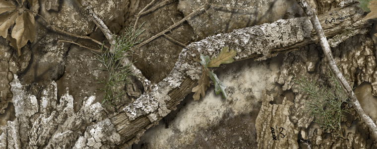 Realtree Story collection
