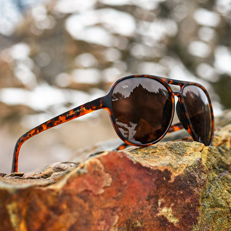 Aviator Crossover  - Amber Tortoise Polarized