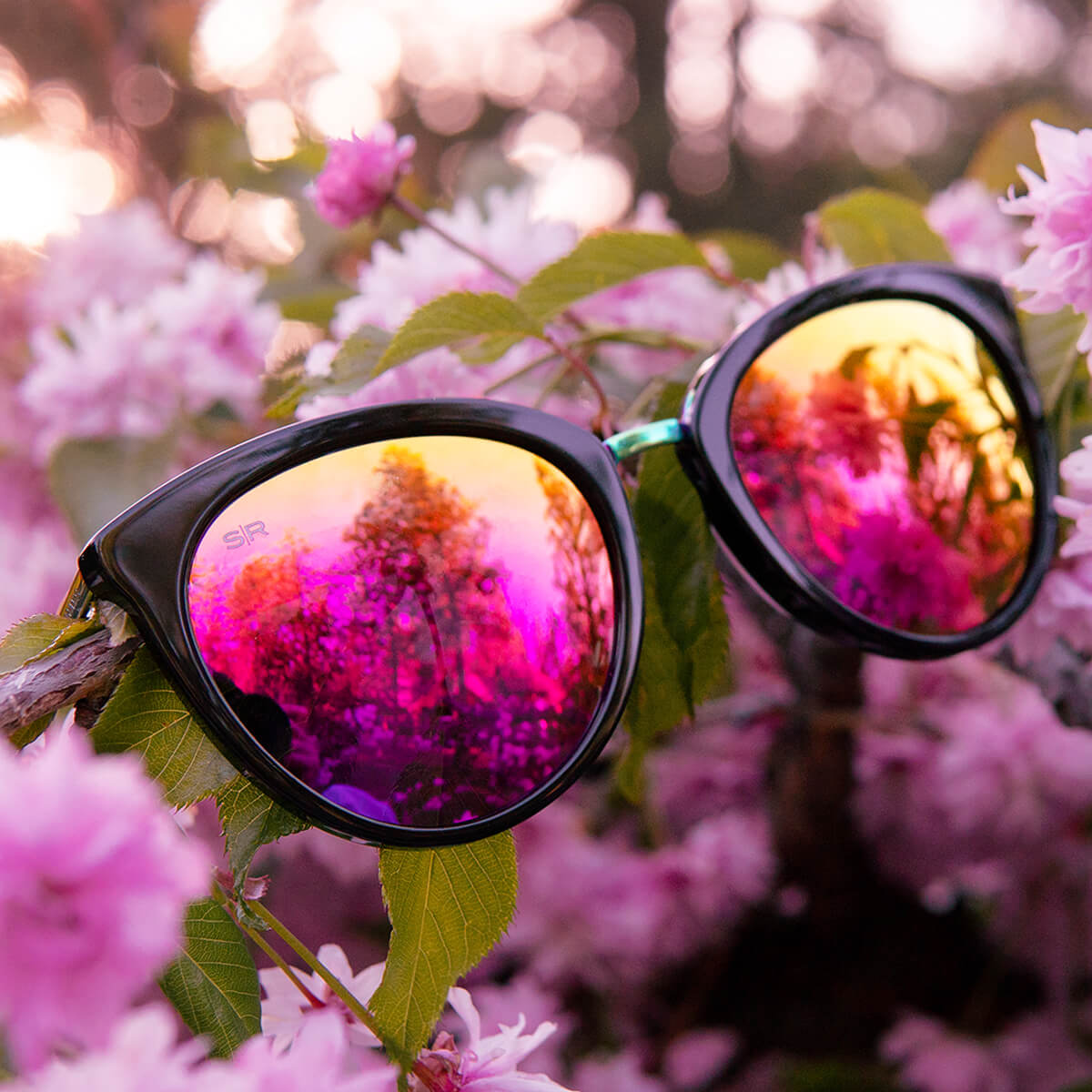 Lotus - Iridescent Sunset Lotus Shady Rays® | Polarized Sunglasses 