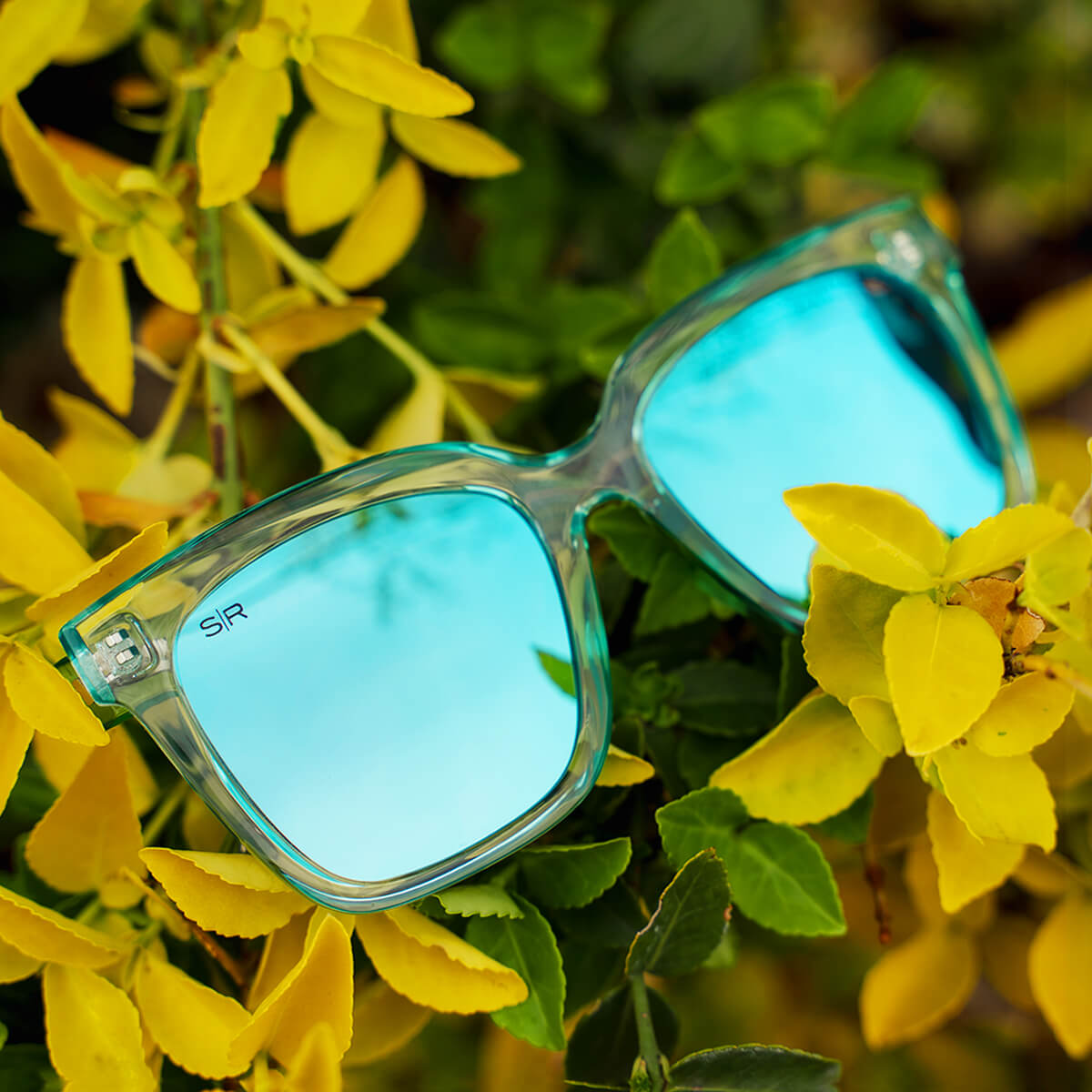 Azalea - Crystal Sky Azalea Shady Rays® | Polarized Sunglasses 