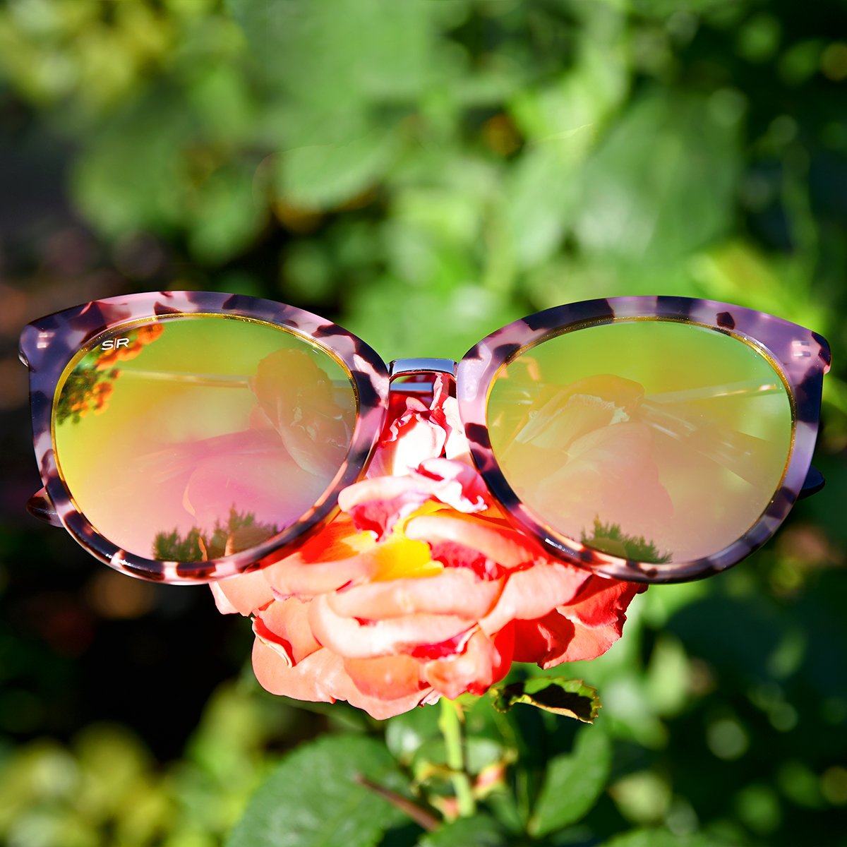 Lotus - Pink Tortoise Shady Rays® | Polarized Sunglasses 