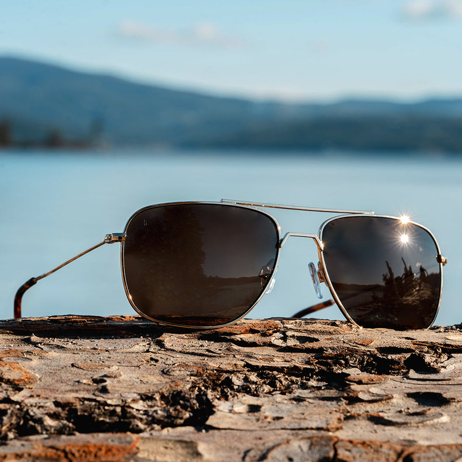 Navigator - Black Gold Polarized Navigator Shady Rays 