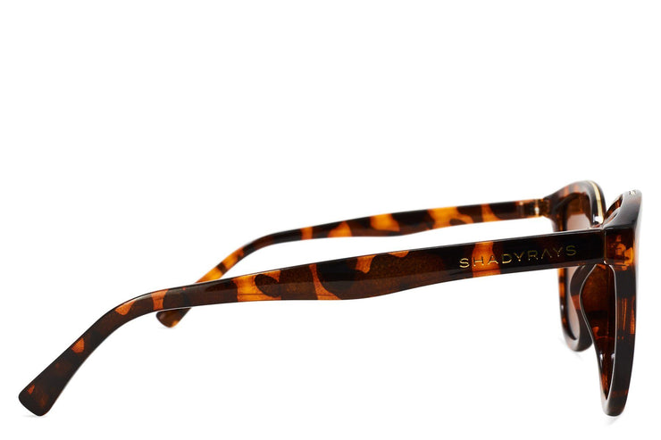 Calico II - Amber Tortoise Polarized women's Shady Rays 