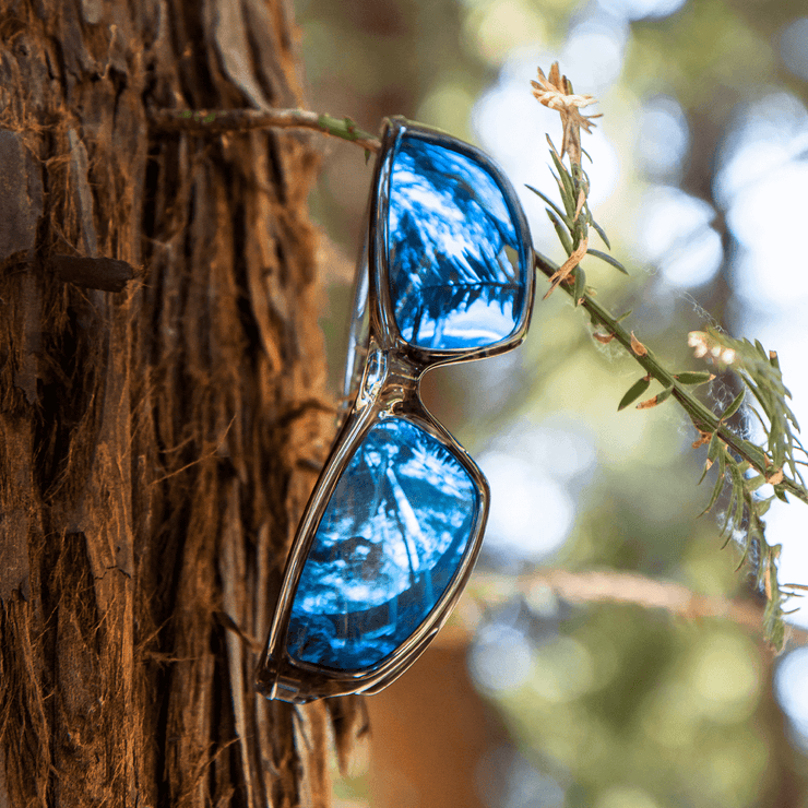 X Series - Glacier Smoke Polarized X Series Shady Rays 